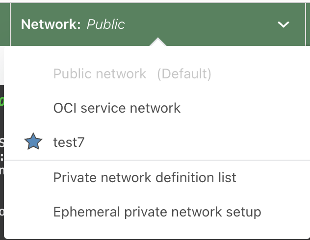 Private network setup menu item.