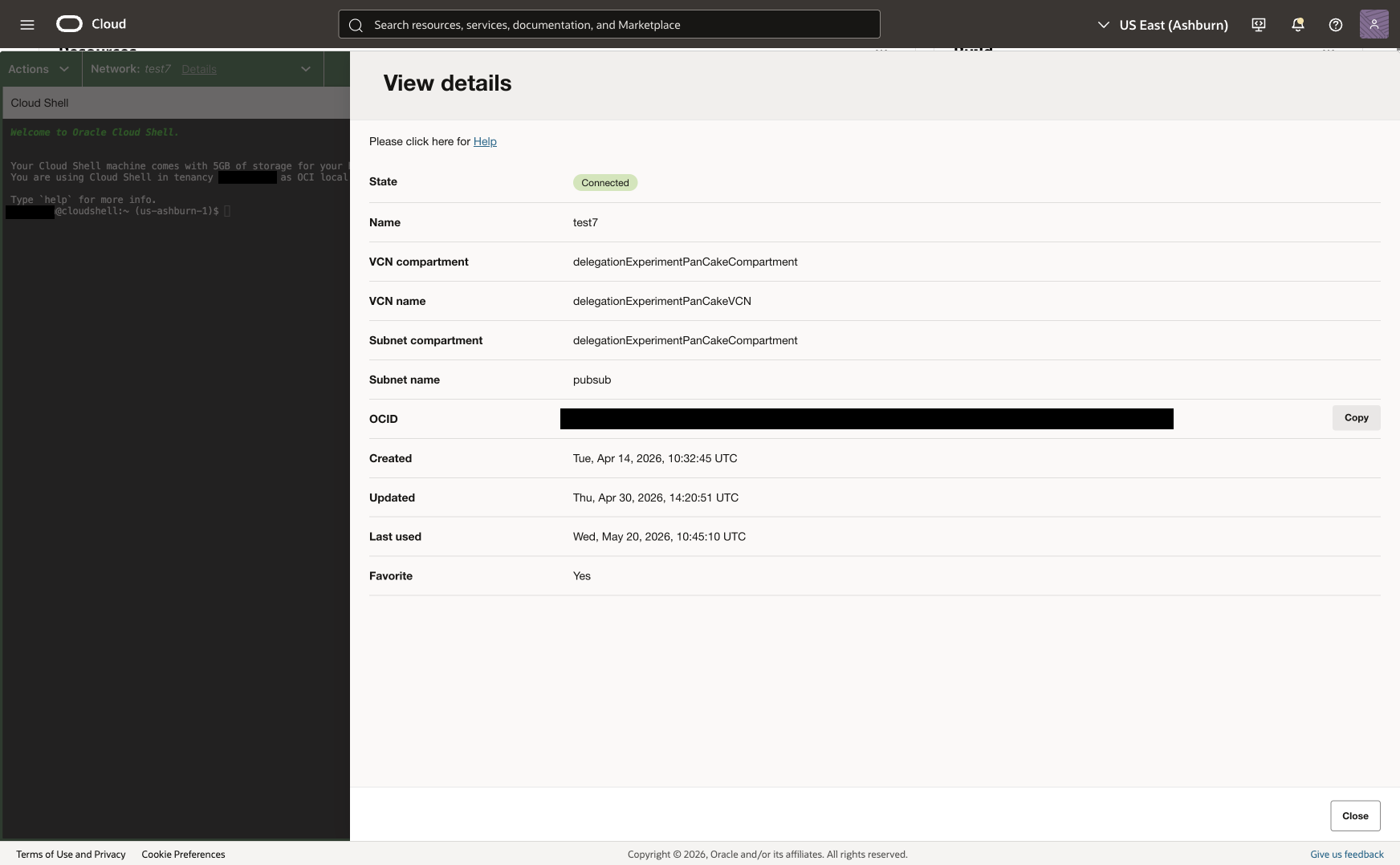 Cloud Shell private network details view