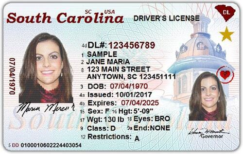 Fictitious Minnesotan driver's license.