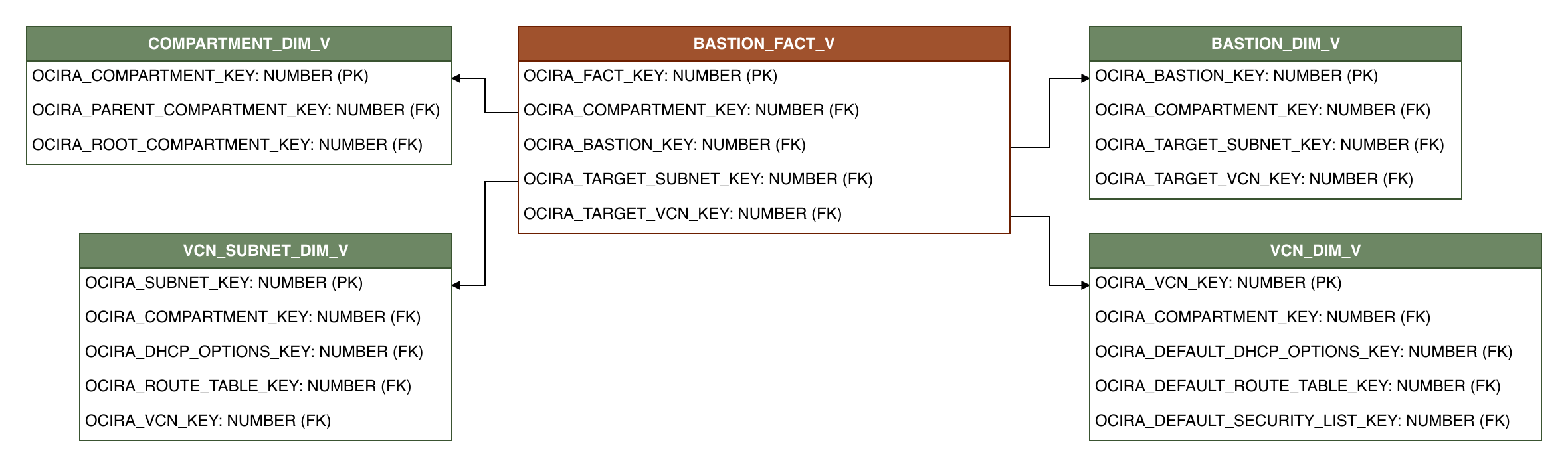 Relationship diagram showing the fact table, BASTION_FACT_V.