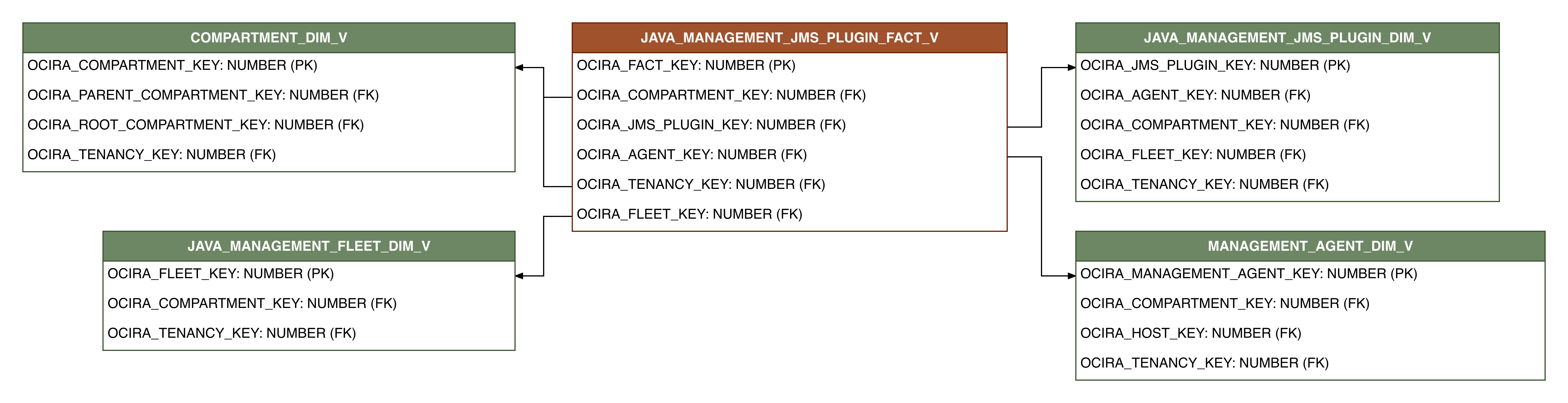 Relationship diagram showing the fact table, JAVA_MANAGEMENT_JMS_PLUGIN_FACT_V.