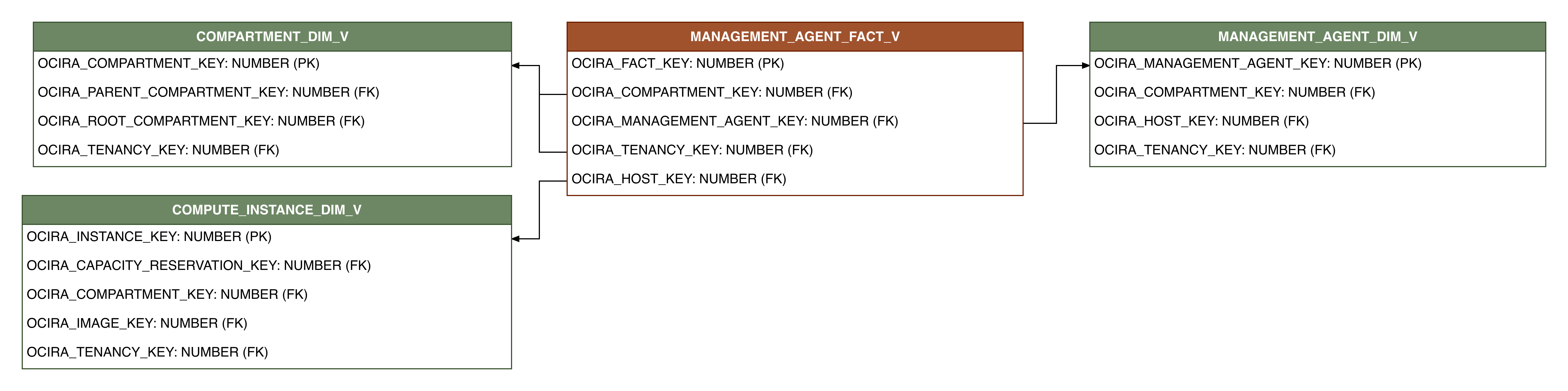 Relationship diagram showing the fact table, MANAGEMENT_AGENT_FACT_V.