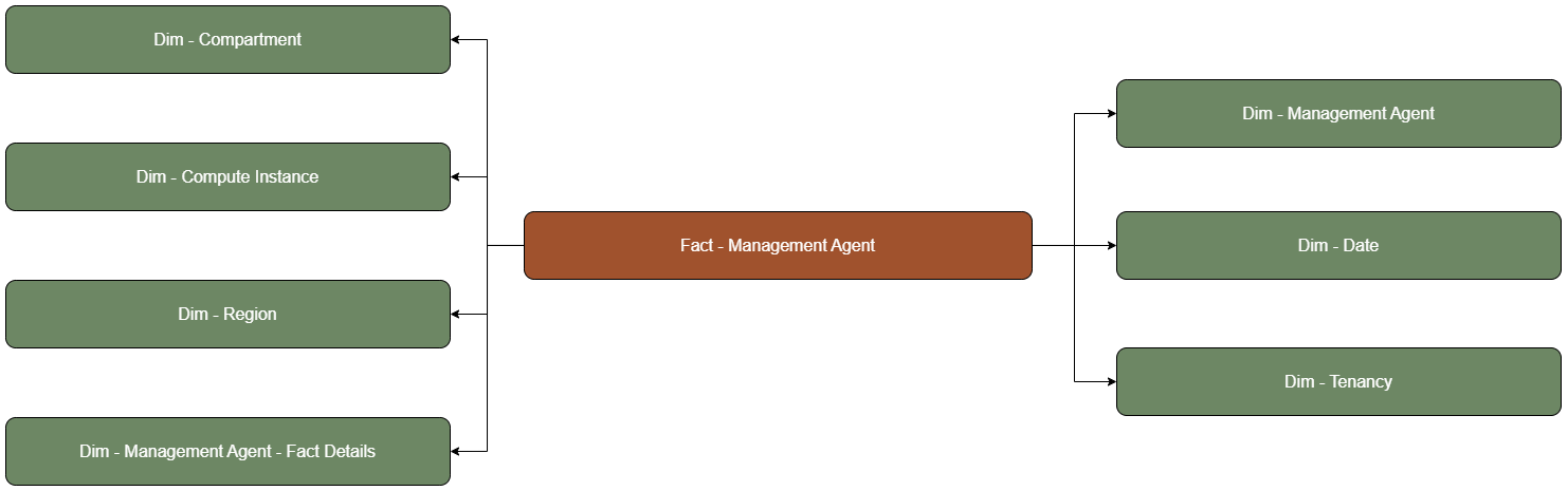 The Management Agent fact table is connected to dimension tables.