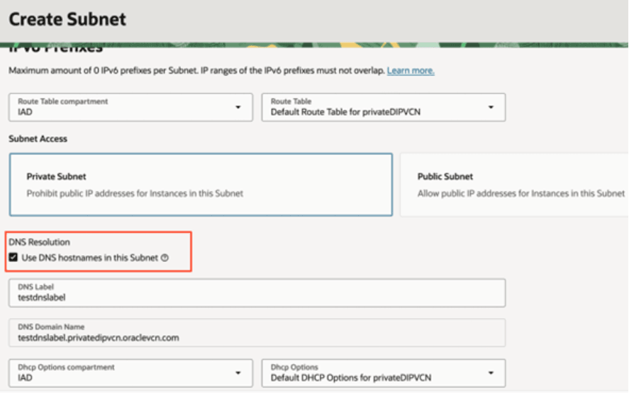 Description of fawag-fdi-pvt-instance-dnshostname_subnet_oak.png follows Description of fawag-fdi-pvt-instance-dnshostname_subnet_oak.png follows
