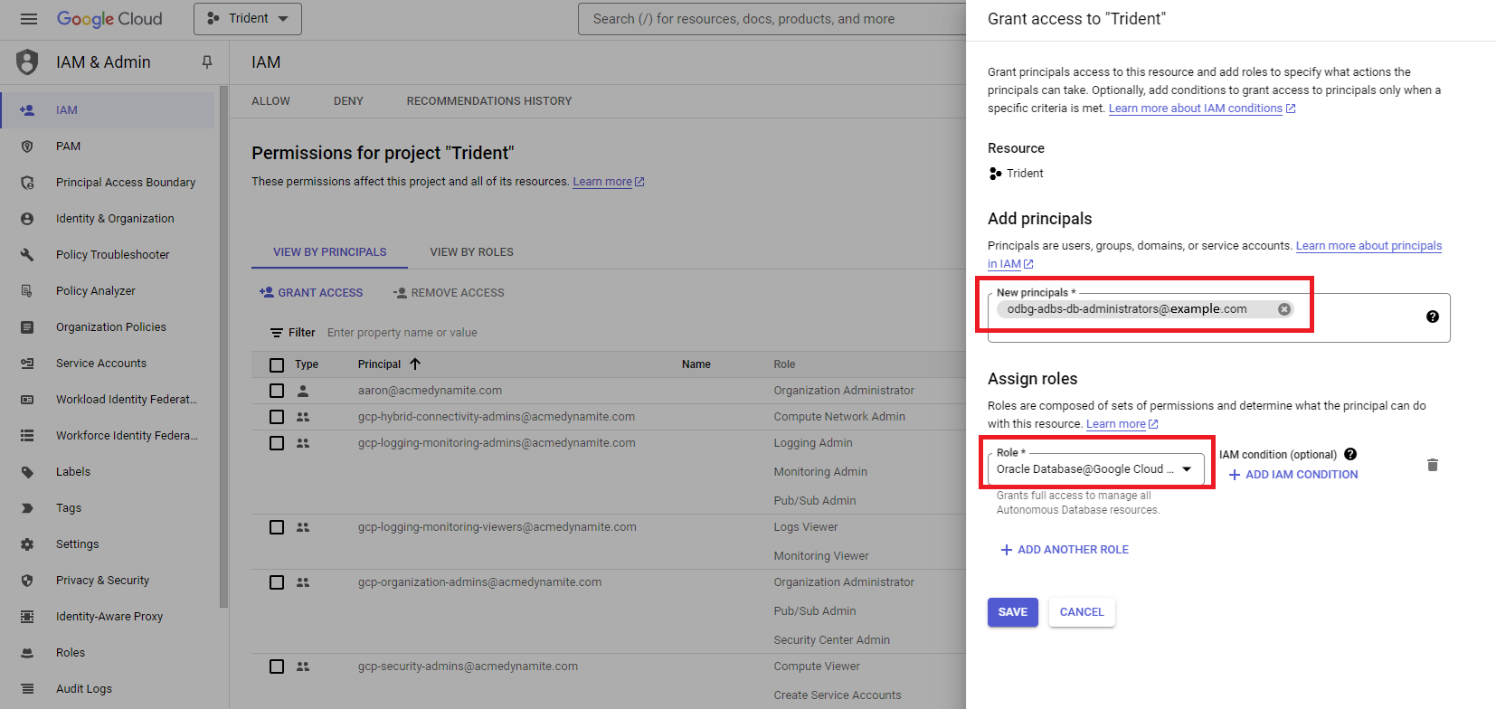 Click to expand An image of the "Grant access" dialog in Google Cloud IAM.